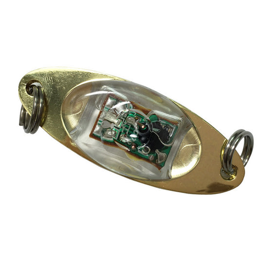 Anzuelo Luminoso con Batería - Señuelo Electrónico para Pesca Nocturna - Image 16