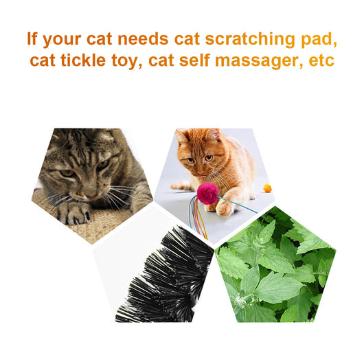 Masajeador Arqueado para Gatos - Cepillo Anticomezón con Acupresión - Image 17