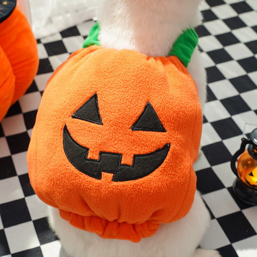 Disfraz de Calabaza para Perros y Gatos - Arnés Festivo para Mascotas Pequeñas - Image 15
