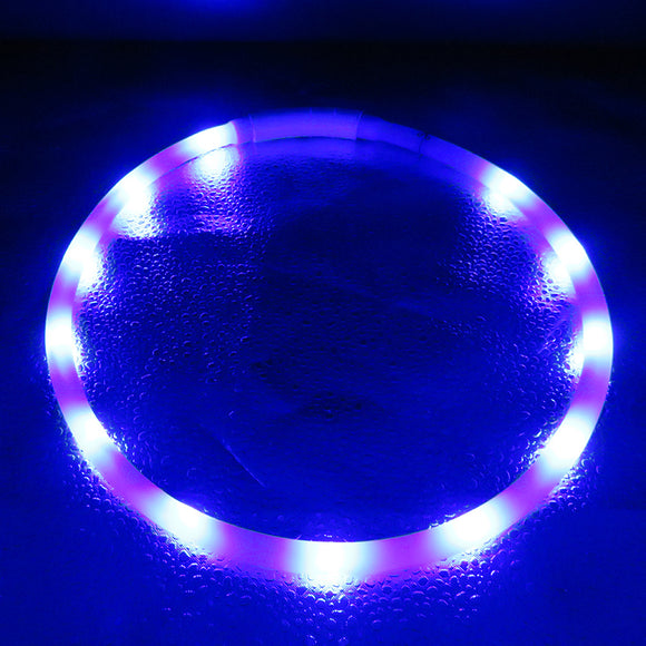 Collar Luminoso Antiextravío para Perros Grandes - Seguridad Visible