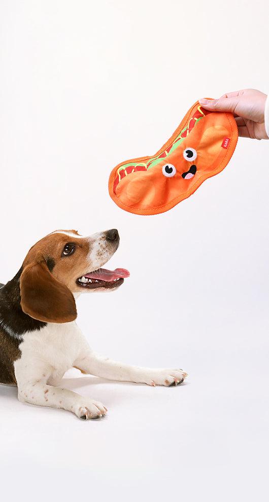 Juguete Interactivo para Perros con Sonido Crujiente - Sin Relleno, Resistente y Seguro - Image 16