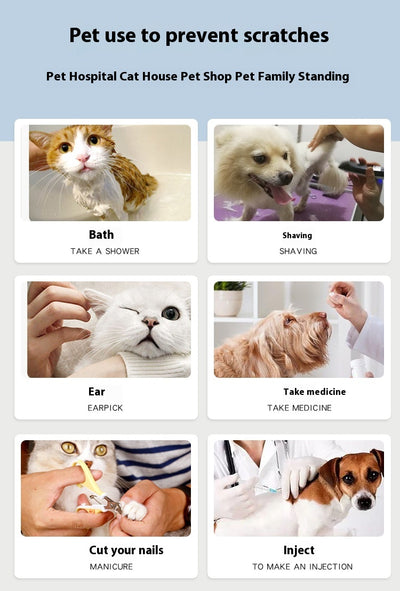 Protector de Uñas para Gatos - Cubiertas de Seguridad - Image 39