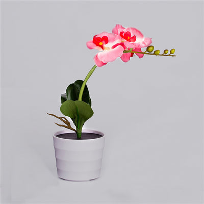 Lámpara Solar Orquídea con Mariposas Decorativas