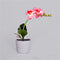 Lámpara Solar Orquídea con Mariposas Decorativas