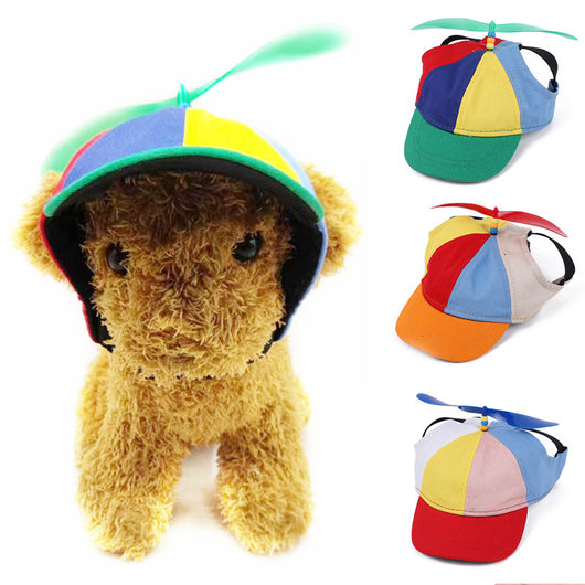 Gorra de Béisbol Infantil Bamboo Dragonfly Pet Teddy