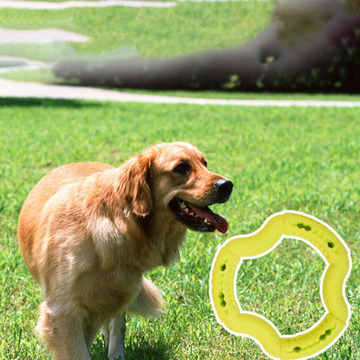 Juguete Masticable para Perros Pequeños Diseño Divertido y Duradero - Image 6