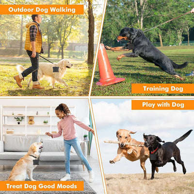 Bolsa Portátil para Snacks de Perro - Diseño Moderno para Entrenamientos - Image 20