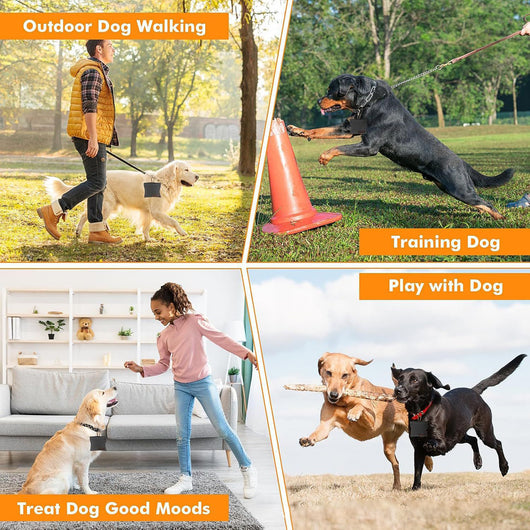 Bolsa Portátil para Snacks de Perro - Diseño Moderno para Entrenamientos - Image 20