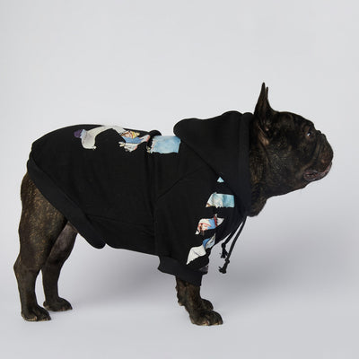 Ropa de Moda para Schnauzers - Colecciones Exclusivas - Image 8