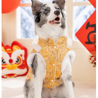 Abrigo Chino Acolchado para Perros Grandes - Estilo Tang con Pelaje de Conejo - Image 11