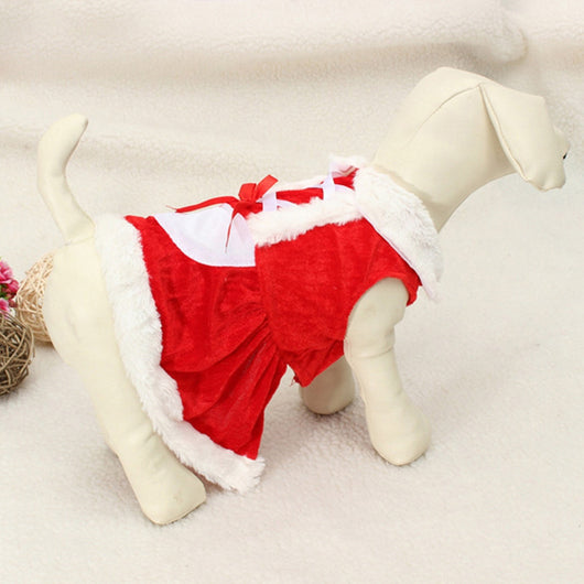 Abrigo Térmico para Perros Pequeños - Chaleco Invernal Cálido y Elegante - Image 6