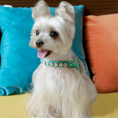 Arnés y Correa para Perro de Cuero PU con Strass Ajustable - Image 20