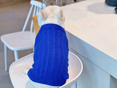 Abrigo Invernal Grueso y Cálido para Bichón Frisé y Corgi - Image 26