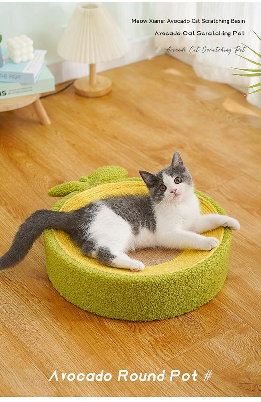 Cuenca Rascadora para Gatos 3 en 1: Rasguño, Descanso y Juego - Image 13