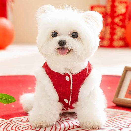 Ropa Festiva Año Nuevo Chino para Perros y Gatos - Diseño Tradicional en Algodón - Image 6