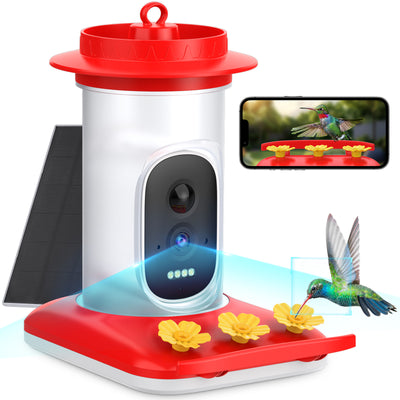 Comedero Inteligente para Colibríes con Cámara HD 5MP - Image 5