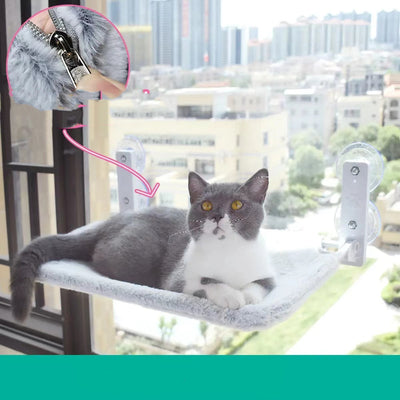 Hamaca de Ventana con Ventosas para Gatos - Cama Colgante de Vidrio - Image 5