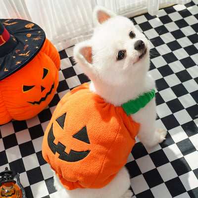 Disfraz de Calabaza para Perros y Gatos - Arnés Festivo para Mascotas Pequeñas - Image 5