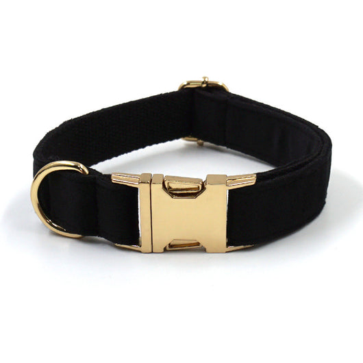 Collar de Terciopelo Negro con Hebilla Dorada y Kit Completo para Paseos - Image 8