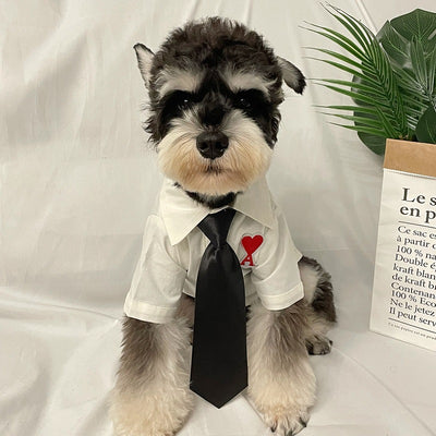 Suéter Cuadriculado para Mascotas Otoño e Invierno - Image 9