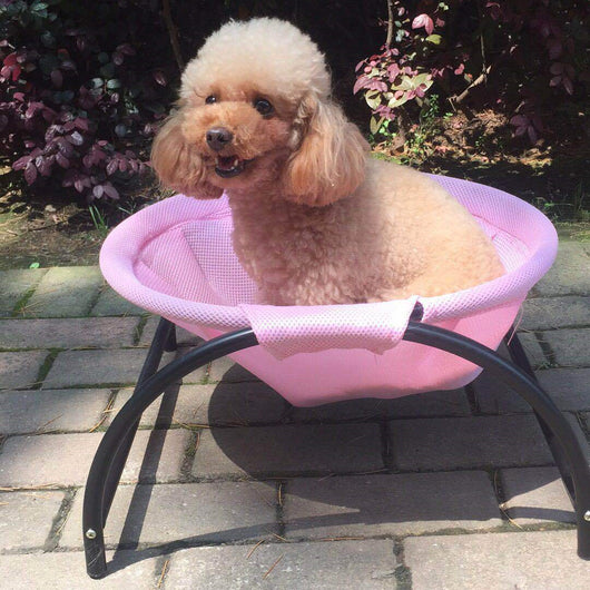 Hamaca Cómoda Transpirable para Gatos y Perros - Image 10