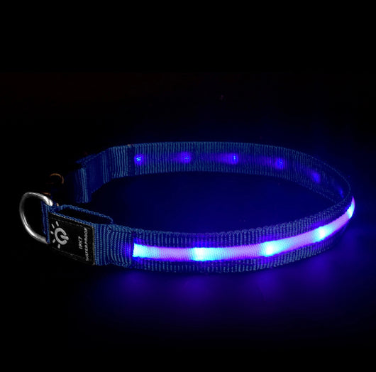 Collar LED Impermeable para Mascotas - Iluminación Nocturna - Image 13