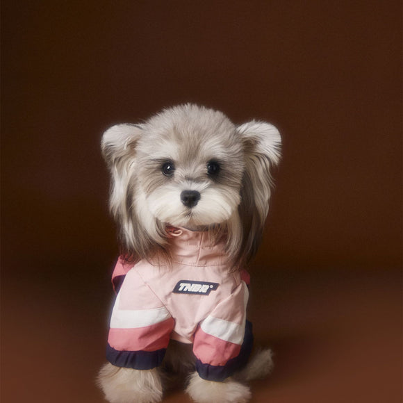 Ropa Deportiva para Perros Bichon Schnauzer con Arnés de Seguridad VIP