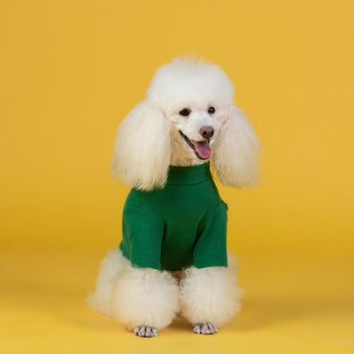 Ropa de Algodón para Cachorros Otoño e Invierno - Image 11