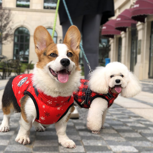 Chaleco Reflectante Navideño para Perros - Abrigo Impermeable Invierno
