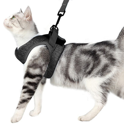 Arnés de Pecho Ligero y Transpirable con Cuerda de Encaje para Gato - Image 7