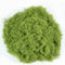 Light Green Moss 500 G