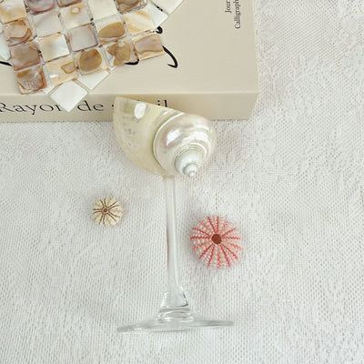 Copa Aromática Concha Marina - Difusor Decorativo Elegante - Image 10
