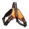 Orange S