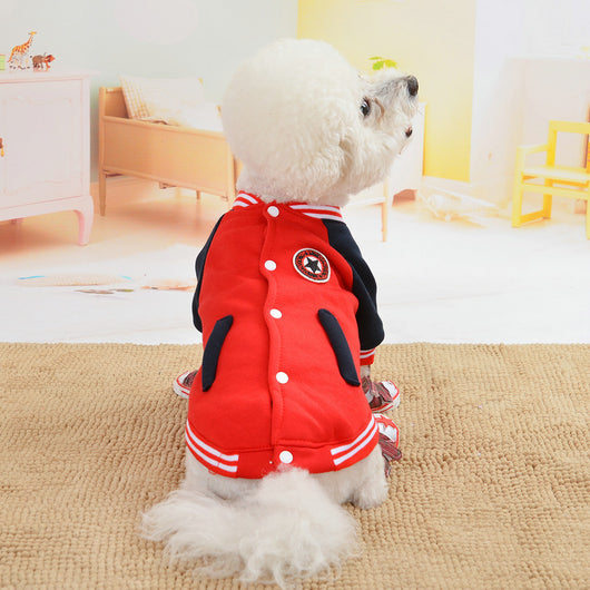 Suéter de Béisbol para Perros en Algodón - Image 11