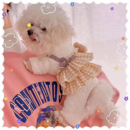 Ropa Adorable para Perros Estilo Japonés y Coreano - Image 9
