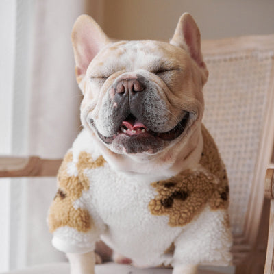 Playera de Pana Gruesa y Cálida para Mascotas - Image 12