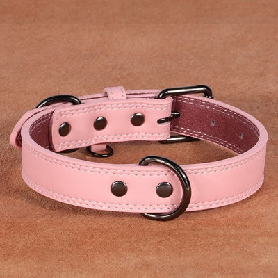 Teal leather pet collar with white stitching, dark metal buckle, and D-ring, displayed on a brown surface. - Image 9