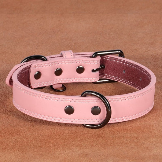 Teal leather pet collar with white stitching, dark metal buckle, and D-ring, displayed on a brown surface. - Image 9