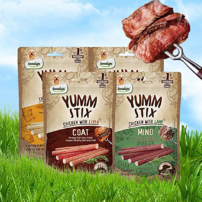 Dentalight Yumm Stix chicken with lamb dog treats, 50g pouch, supporting healthy brain function with DHA & Vitamin E.