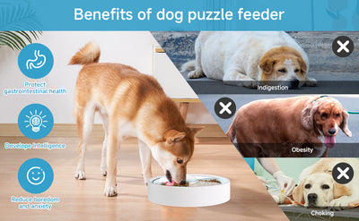 Comedero Interactivo Laberinto para Perros - Comedero Puzzle Antideslizante - Image 14