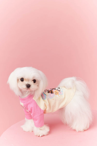 Ropa de Verano para Perros con Contraste de Colores - Image 30