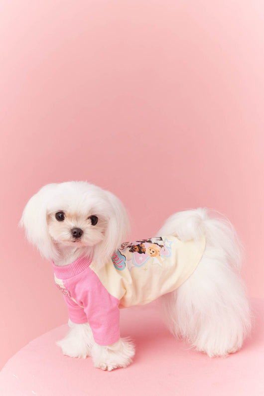 Ropa de Verano para Perros con Contraste de Colores - Image 30