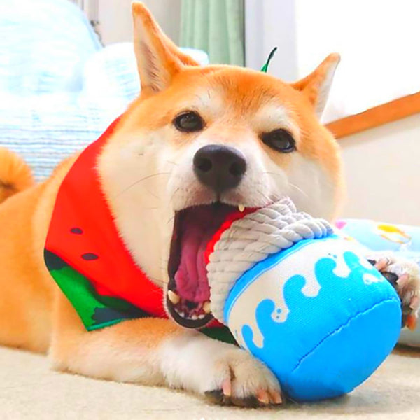 Juguete Resistente para Perros: Mordedor Antiestrés para Masticar y Jugar