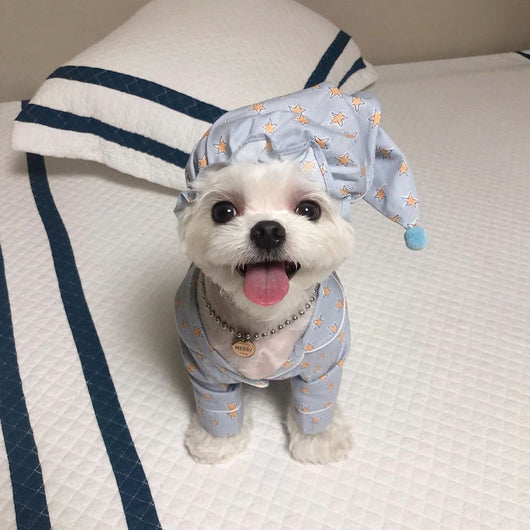 Pijama Estilo Blue Star para Perros - Ropa de Descanso Cómoda - Image 10
