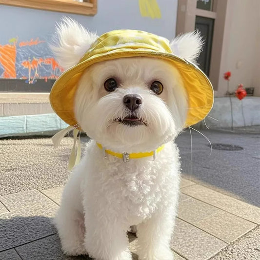 Gorro Cubo para Mascotas con Orejas Expuestas - Diseño Adorable - Image 2