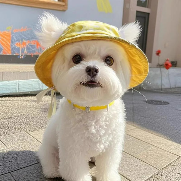 Gorro Cubo para Mascotas con Orejas Expuestas - Diseño Adorable