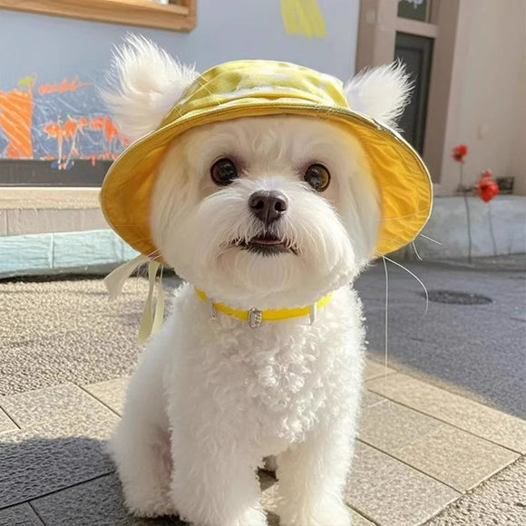 Gorro Cubo para Mascotas con Orejas Expuestas - Diseño Adorable