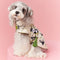 Chaleco sin Mangas Estilo Chino para Mascotas - Diseño Panda Teddy Schnauzer Bichón
