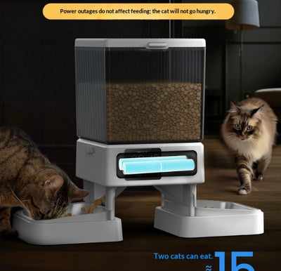 Comedero Automático Inteligente para Gatos con Doble Recipiente y Control por Temporizador Visual - Image 8