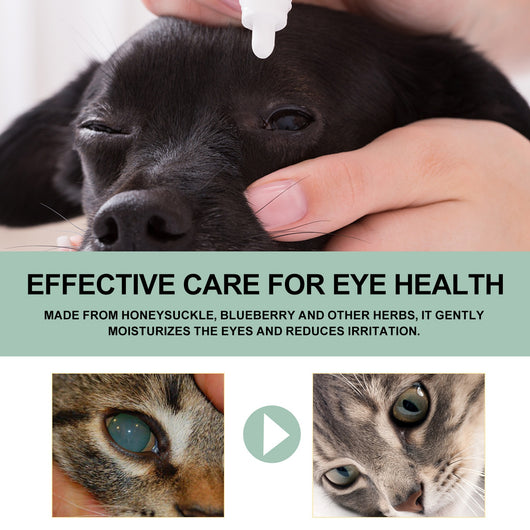 Gotas Oftálmicas para Perros y Gatos - Cuidado Ocular Profesional - Image 18